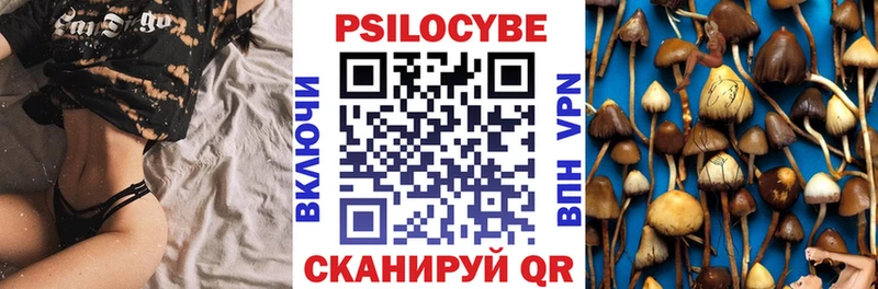 Псилоцибиновые грибы Psilocybine cubensis  Купить  Альметьевск 