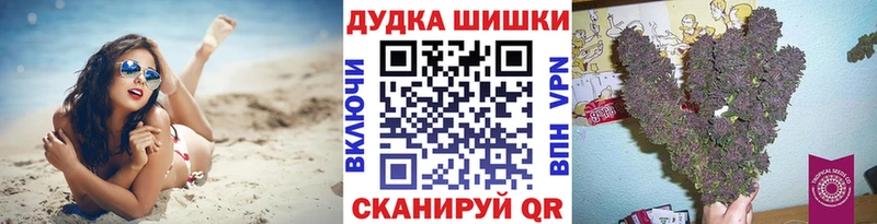 Канабис план  Купить закладки  Альметьевск 